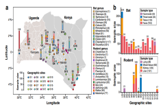 武汉病毒所合作在东非蝙蝠与啮齿类动物病毒组研究中取得进展