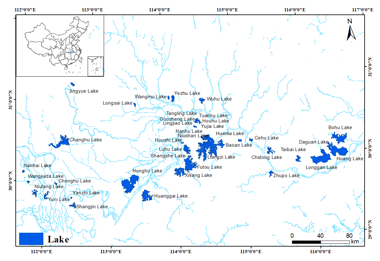 水生所提出新的统一模型揭示“鱼类生产力—物种丰富度”关系的底层规律