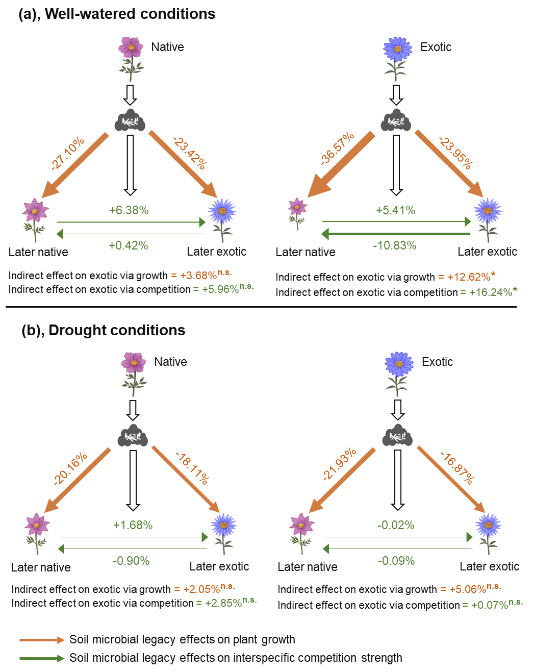 武汉植物园揭示干旱调控土壤微生物介导的多物种共入侵机制