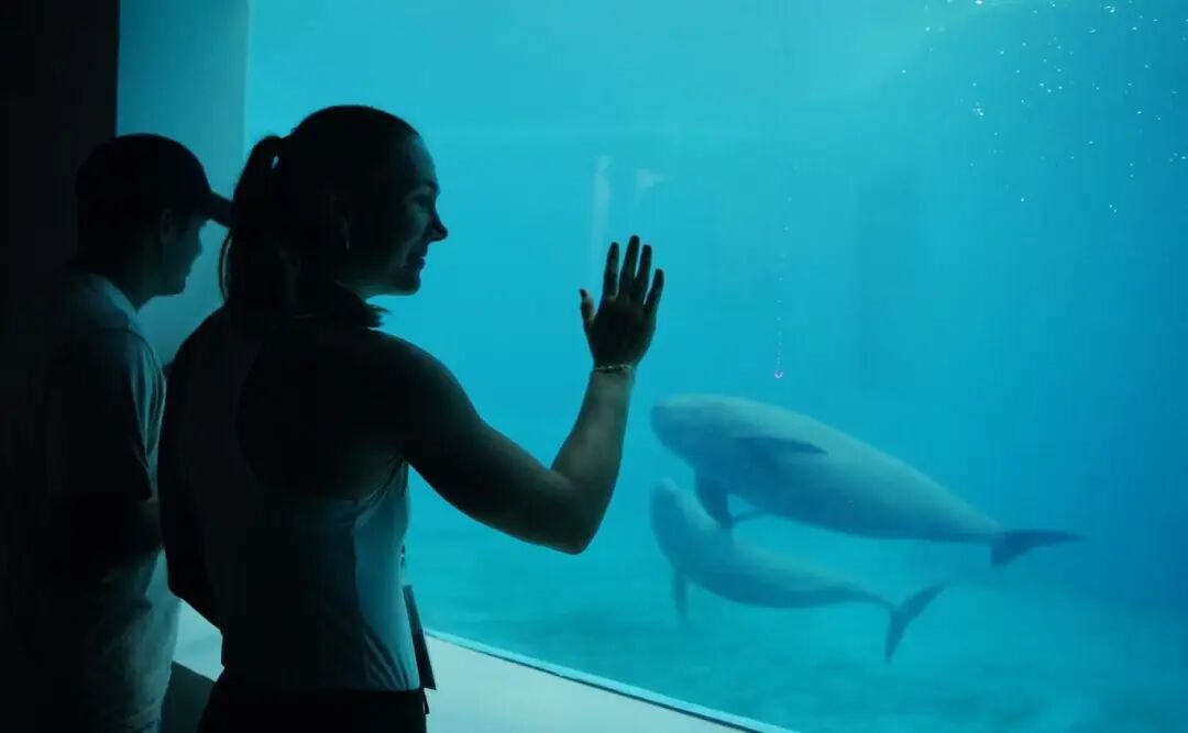 遇见江豚！武网选手为“中国智慧”点赞