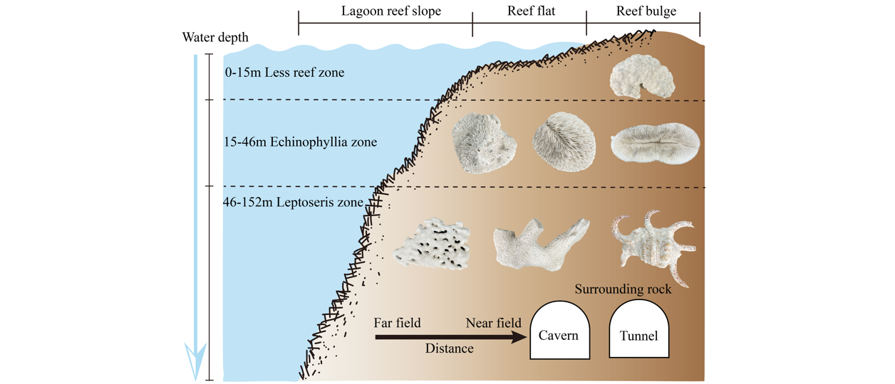 武汉岩土所珊瑚礁灰岩孔隙结构表征及力学强度的智能预测取得进展